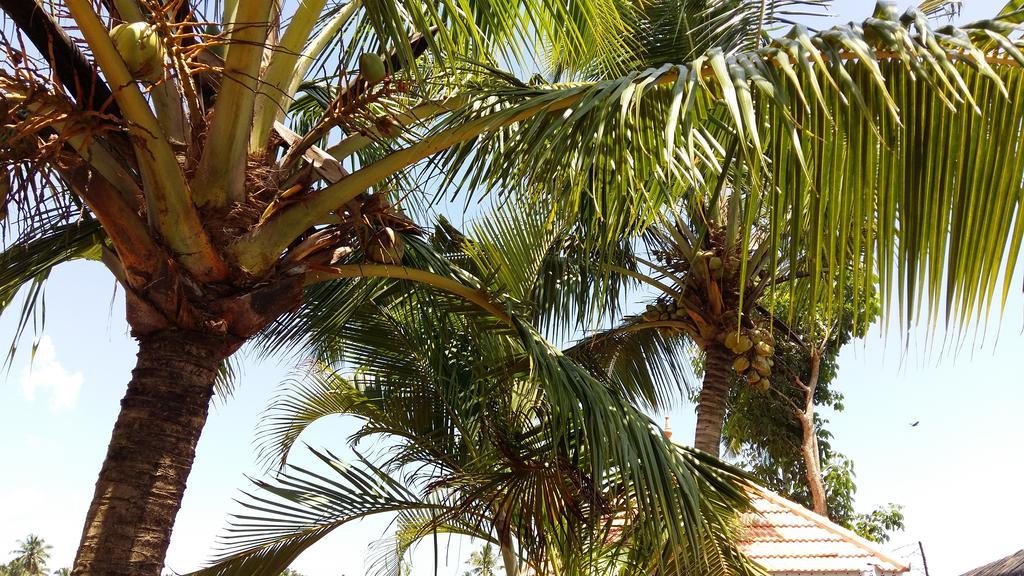 Niya Nest Homestay Kochi Εξωτερικό φωτογραφία