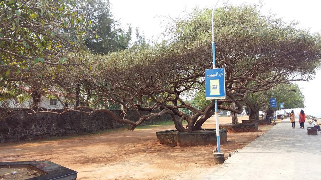Niya Nest Homestay Kochi Εξωτερικό φωτογραφία